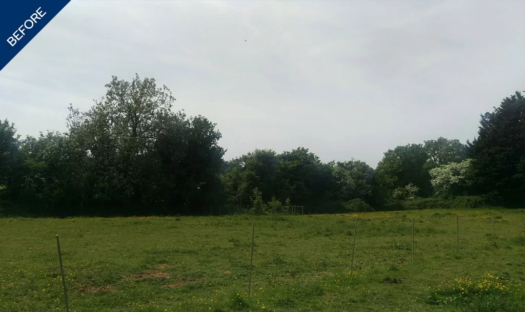 kennylands land before