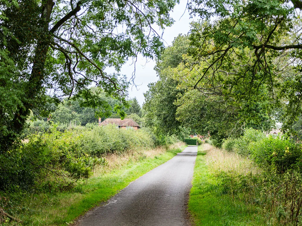 BOWBROOK COPSE